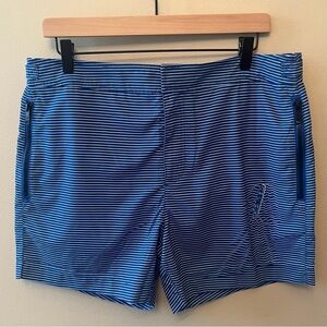 NWT Ted Baker London Placement Printed Blue White Stripe Swim Shorts Men’s 3 (M)